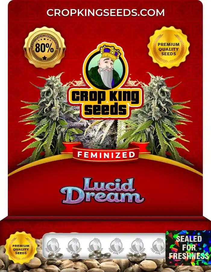 Lucid Dream Feminized Marijuana Seeds