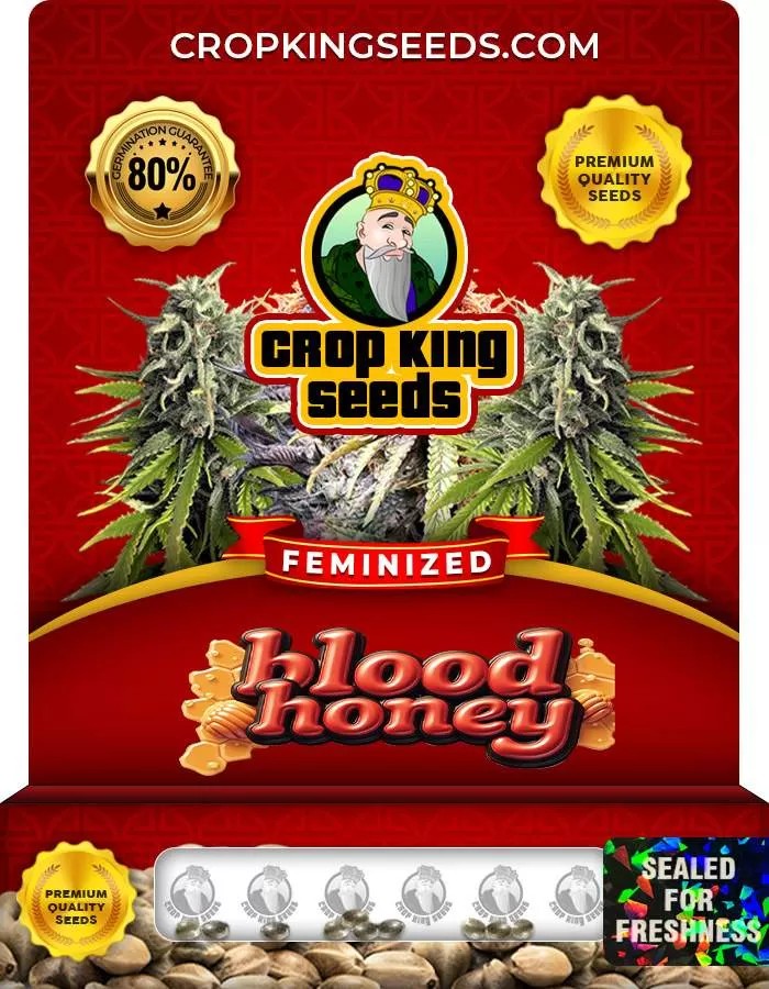 Blood Honey Strain Feminized Marijuana Seeds