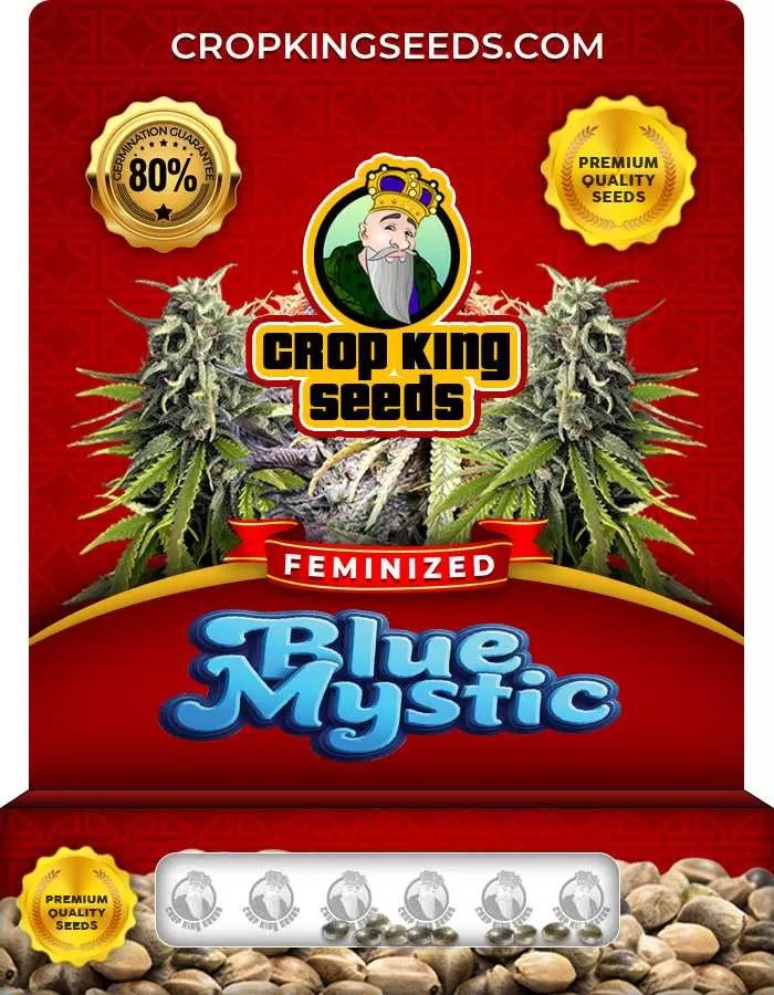 Blue Mystic Feminized Seeds