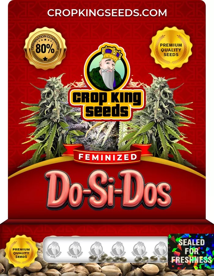 Do-Si-Dos Feminized Marijuana Seeds