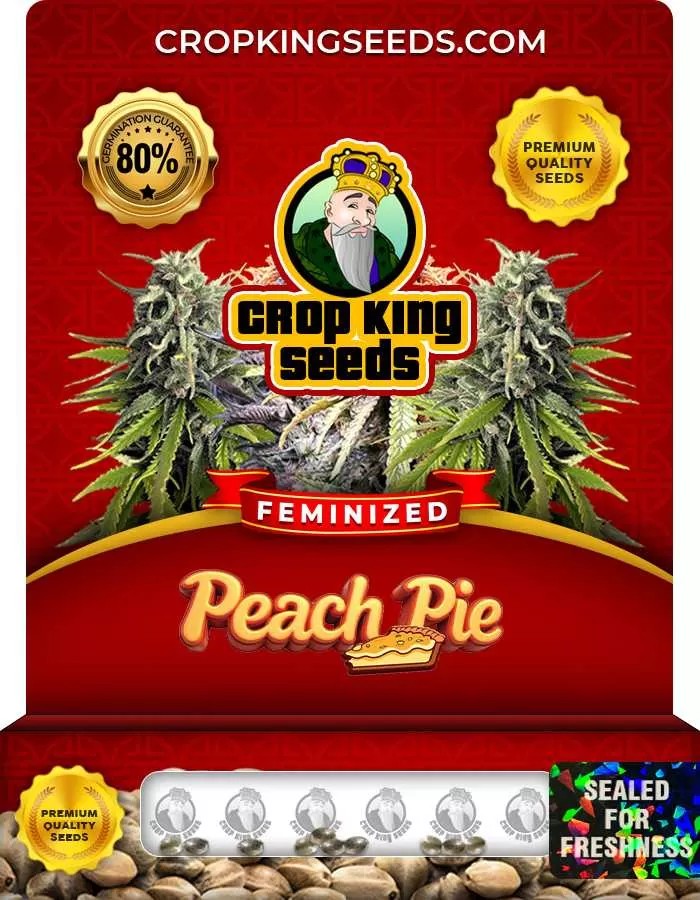 Peach Pie Strain Feminized Marijuana Seeds