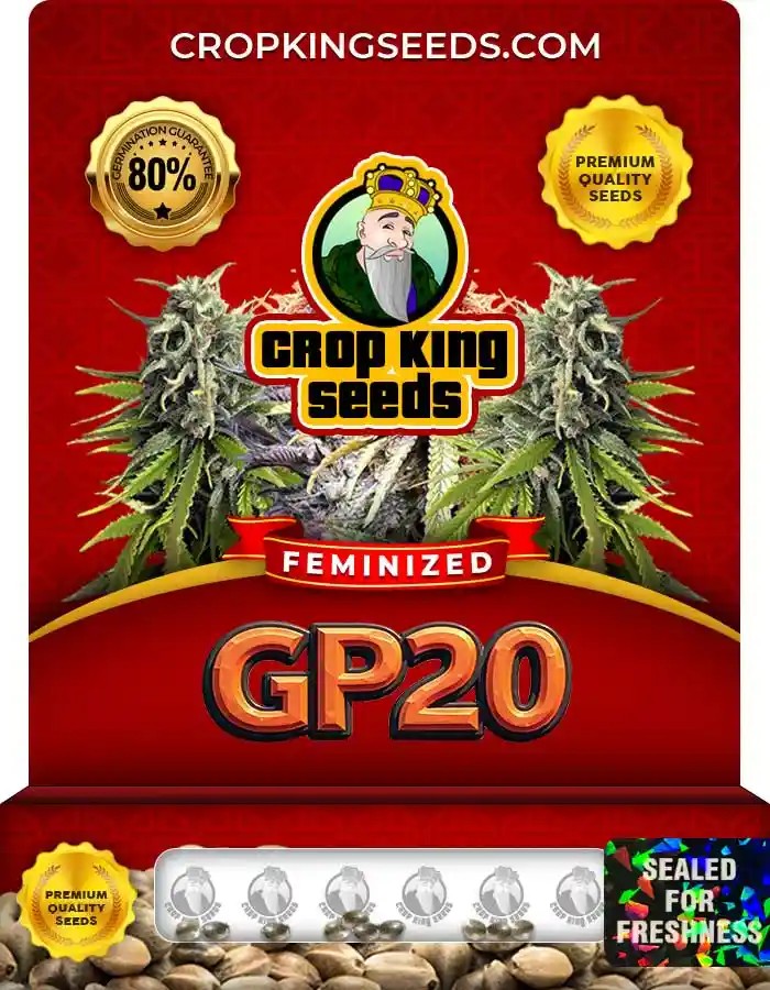 GP20 Feminized Seeds