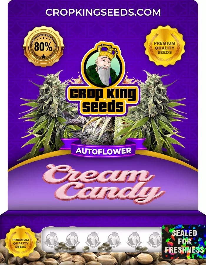 Cream Candy Autoflowering Marijuana Seeds