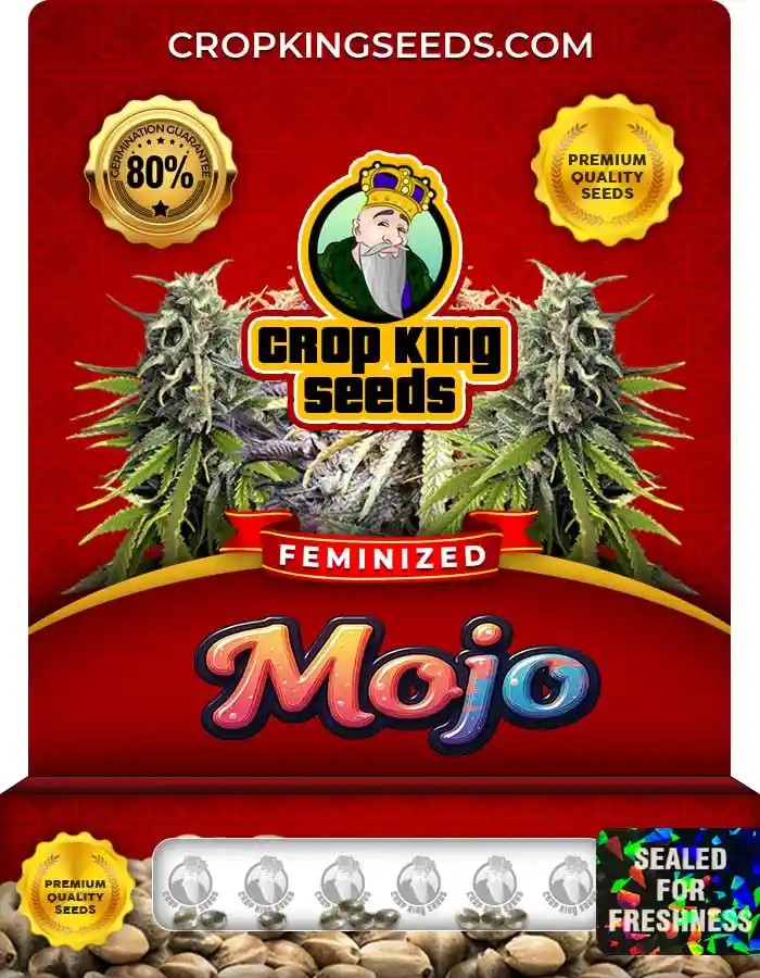 Mojo Feminized Seeds