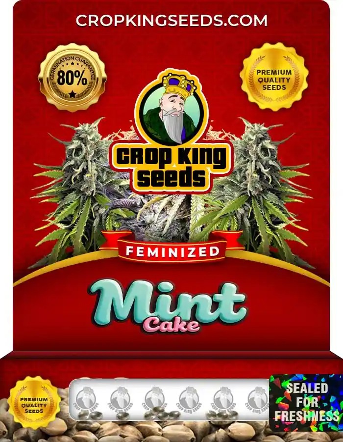 Mint Cake Strain Feminized Marijuana Seeds