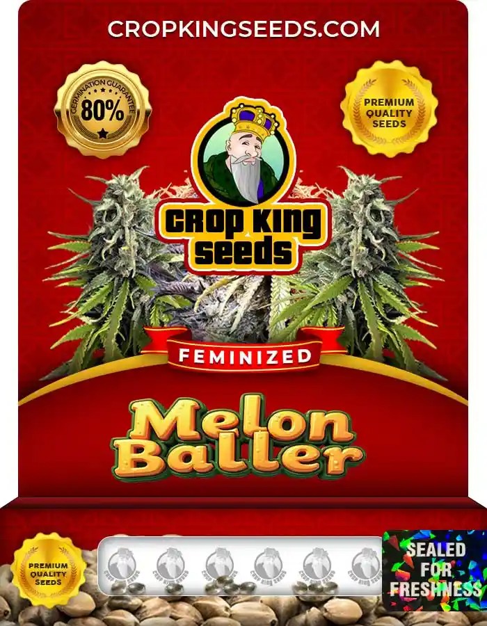 Melon Baller Feminized Seeds