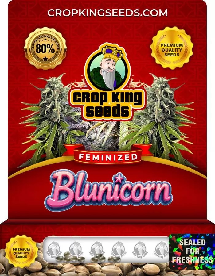 Blunicorn Strain Feminized Marijuana Seeds