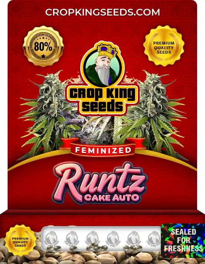 Runtz Cake Auto Strain Feminized Seeds