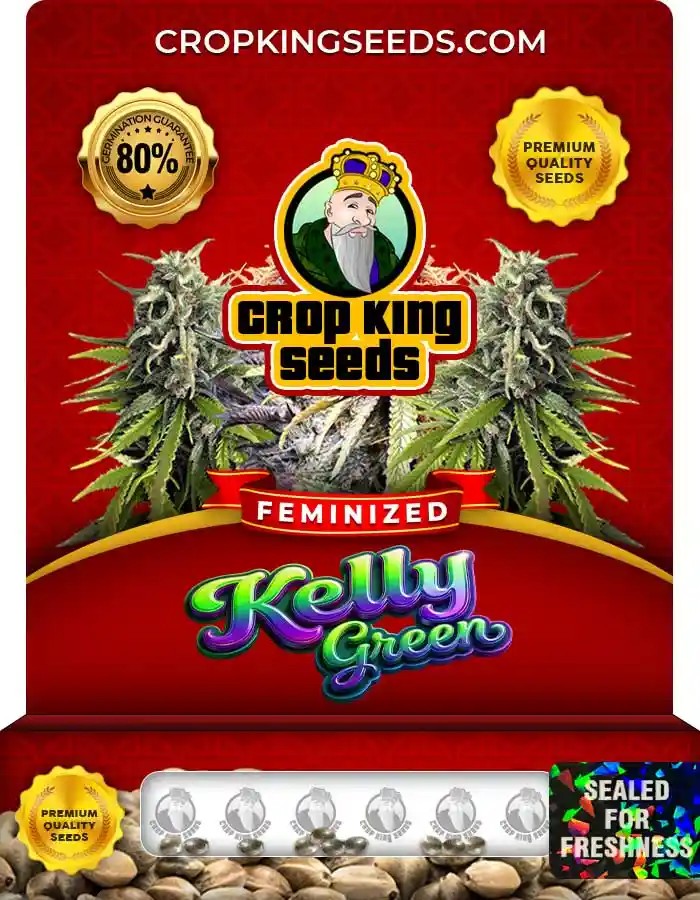 Kelly Green Strain Feminized Seeds