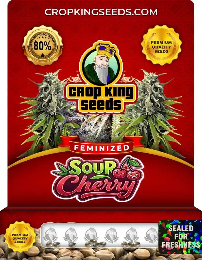Sour Cherry Strain Feminized Marijuana Seeds