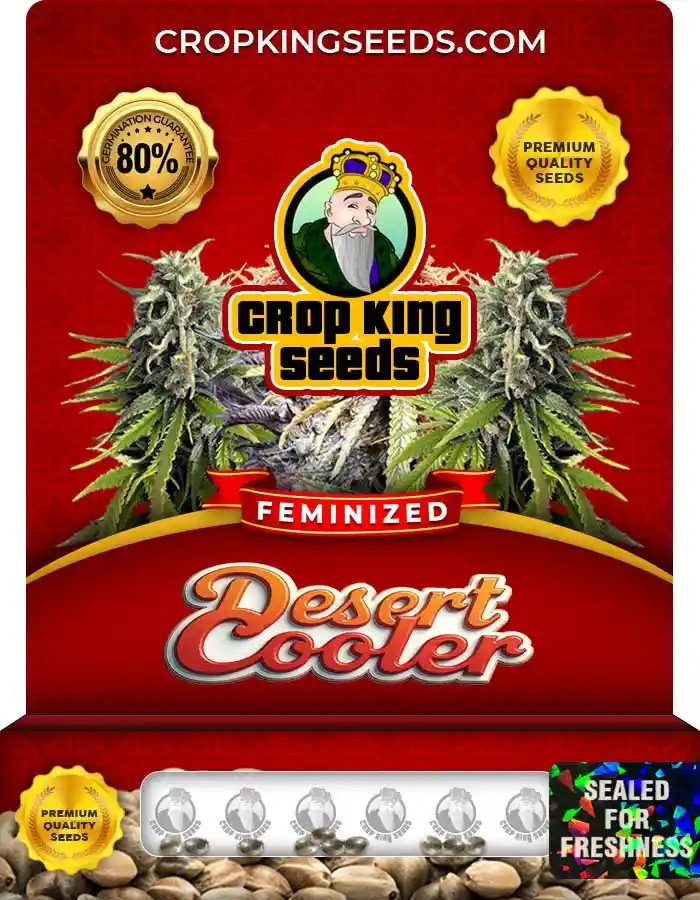 Desert Cooler Strain Feminized Marijuana Seeds