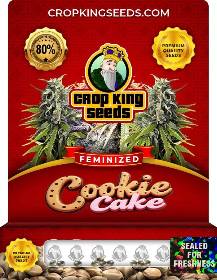 Cookie Cake Strain Feminized Marijuana Seeds