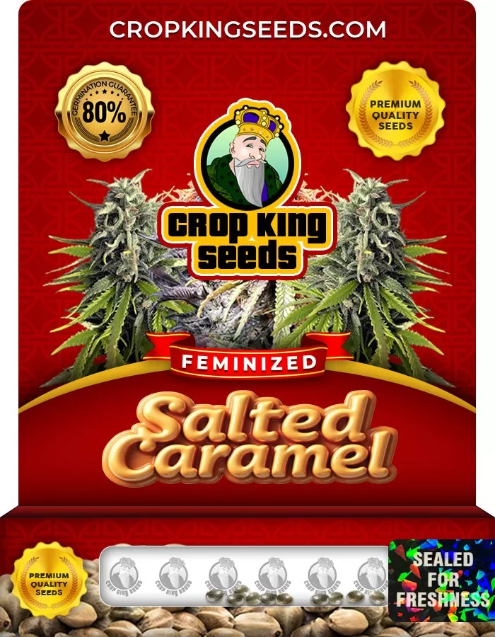 Salted Caramel Feminized Marijuana Seeds