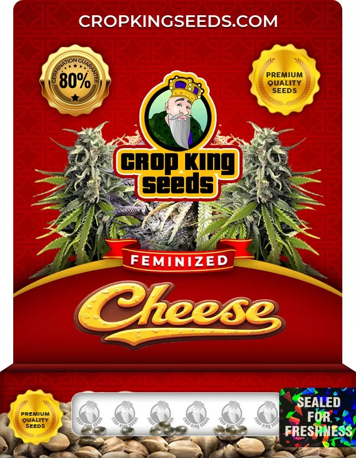 Cheese Feminized Marijuana Seeds