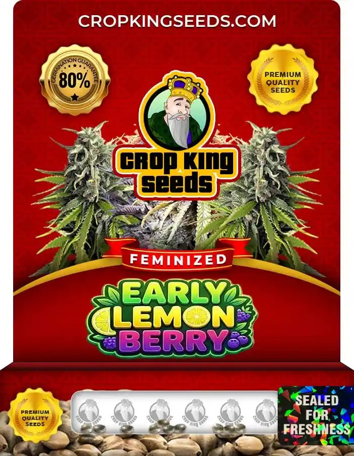 Early Lemon Berry Strain Feminized Marijuana Seeds