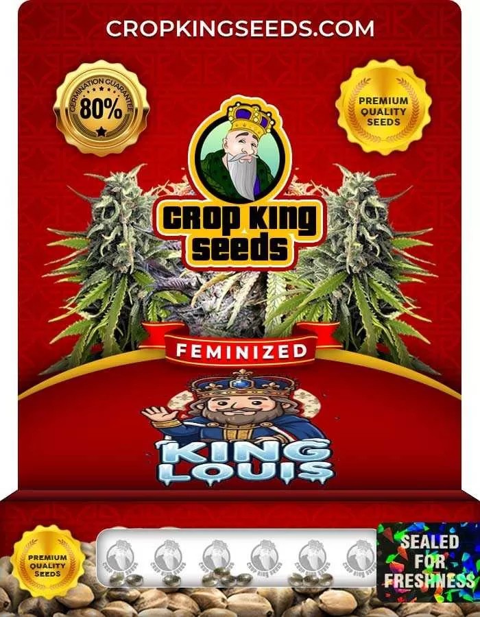 King Louis Strain Feminized Seeds