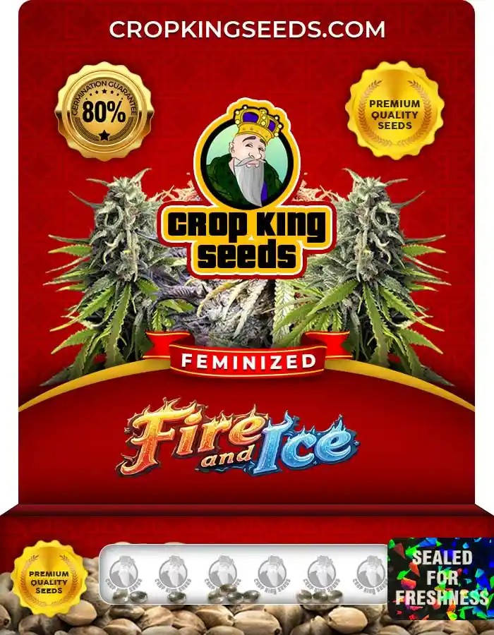 Fire and Ice Feminized Seeds