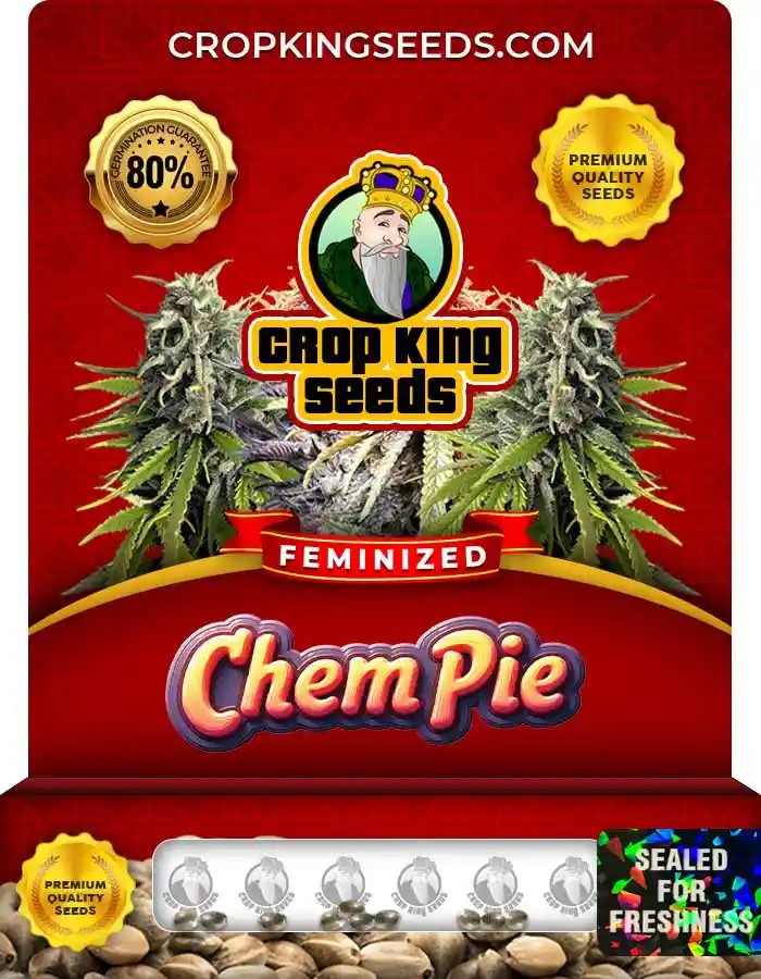 Chem Pie Feminized Seeds