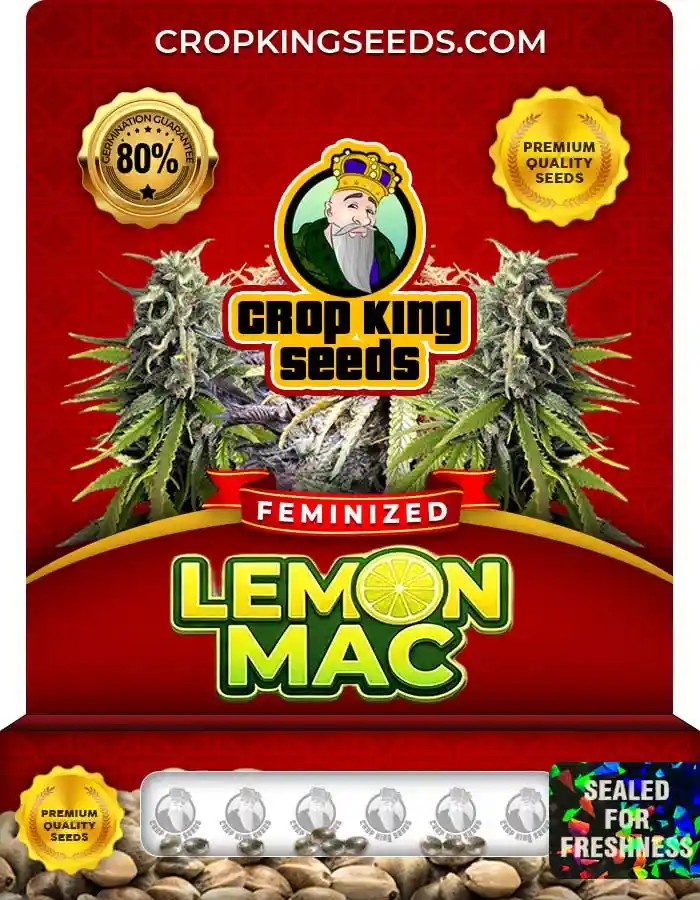 Lemon MAC Feminized Seeds