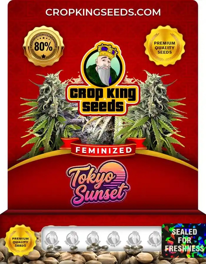 Tokyo Sunset Strain Feminized Marijuana Seeds