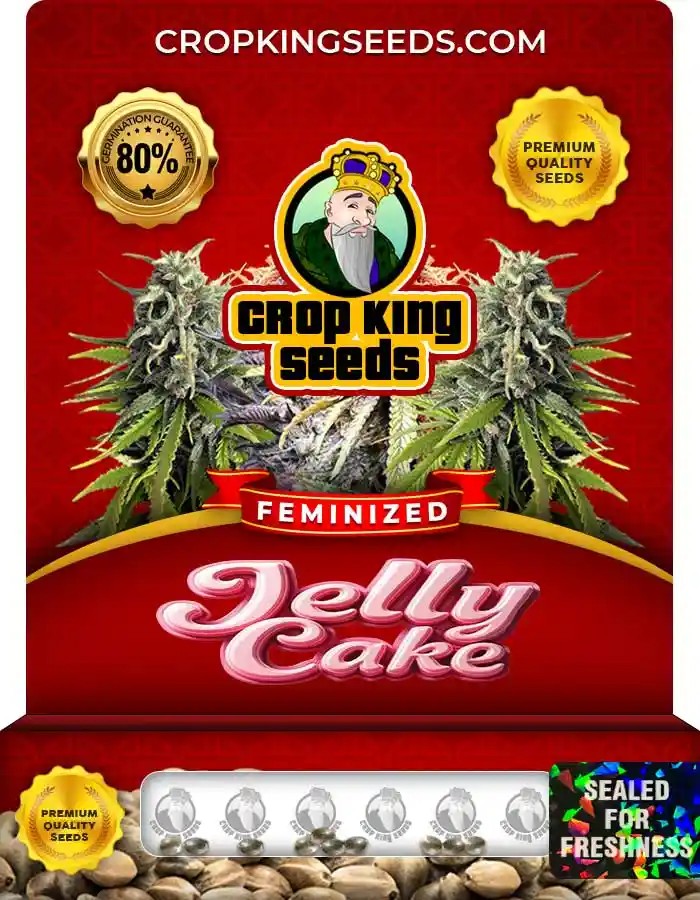 Jelly Cake Strain Feminized Marijuana Seeds