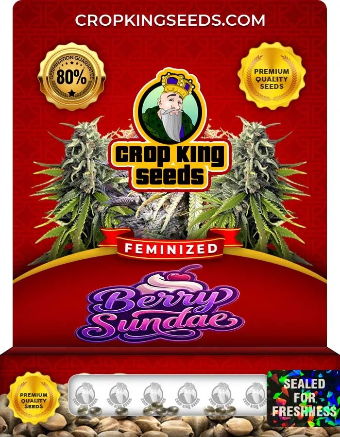 Berry Sundae Strain Feminized Seeds