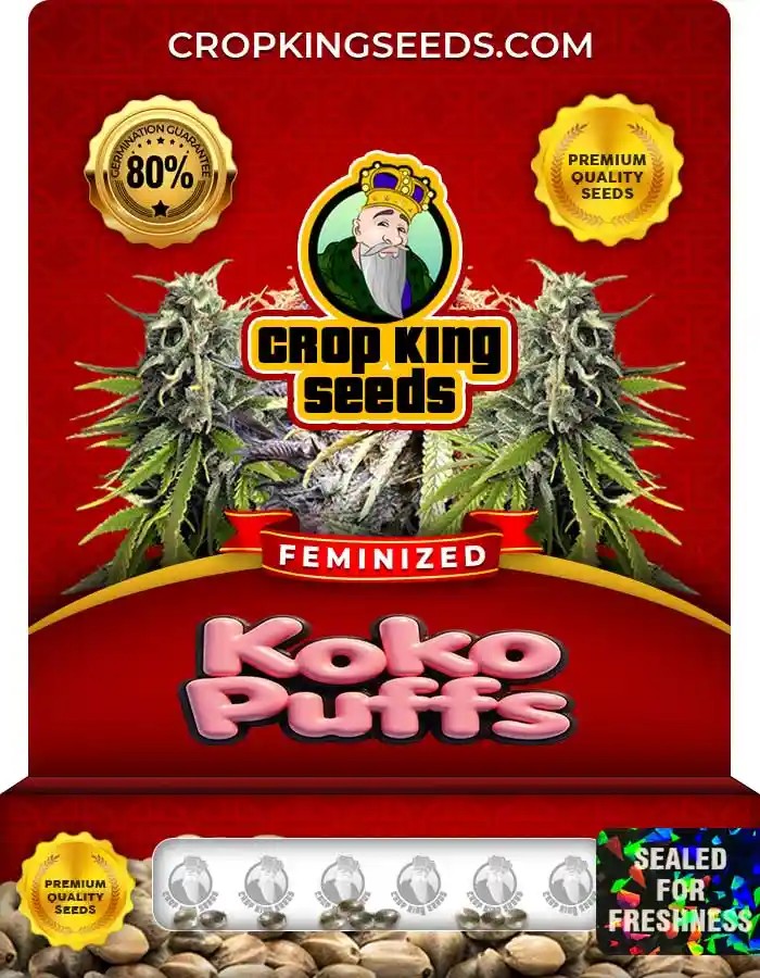 Koko Puffs Strain Feminized Marijuana Seeds