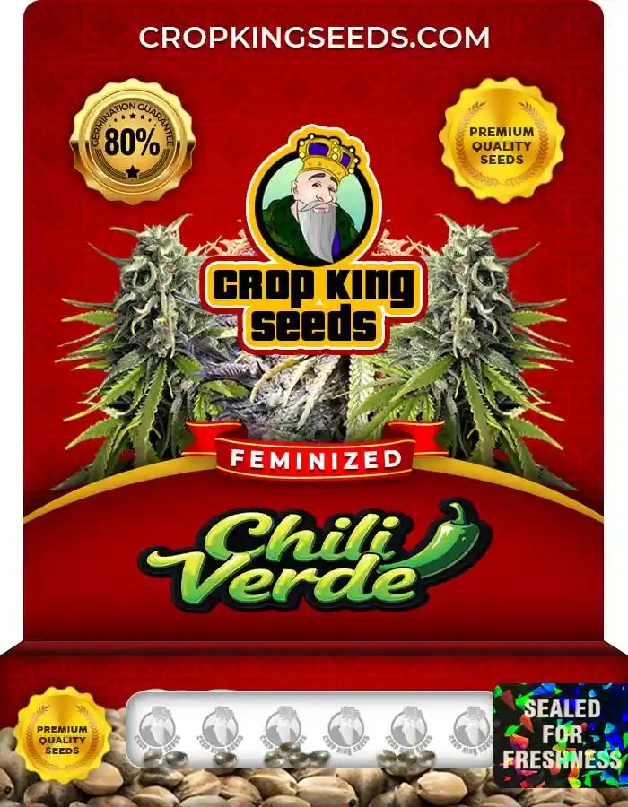 Chili Verde Strain Feminized Marijuana Seeds
