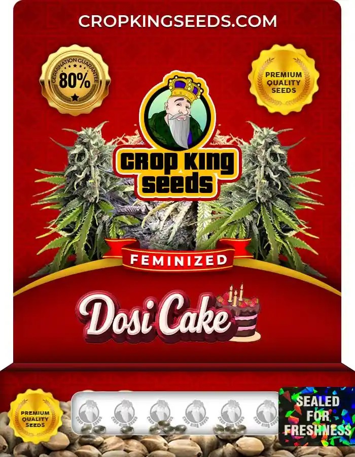 Dosi Cake Strain Feminized Seeds