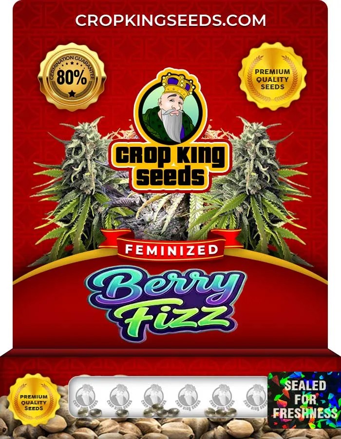 Berry Fizz Strain Feminized Seeds