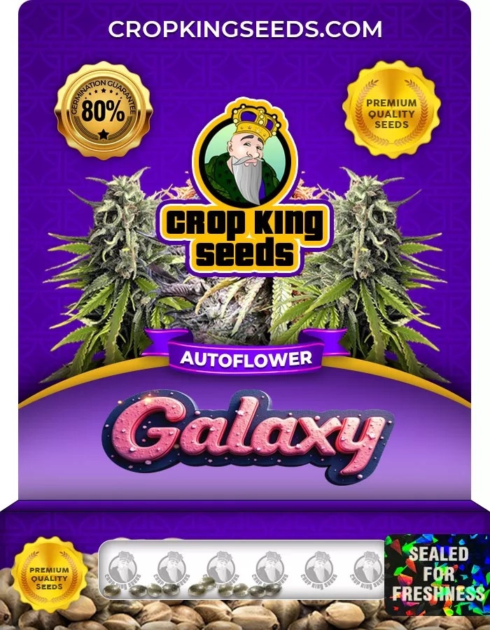Galaxy Autoflower Marijuana Seeds