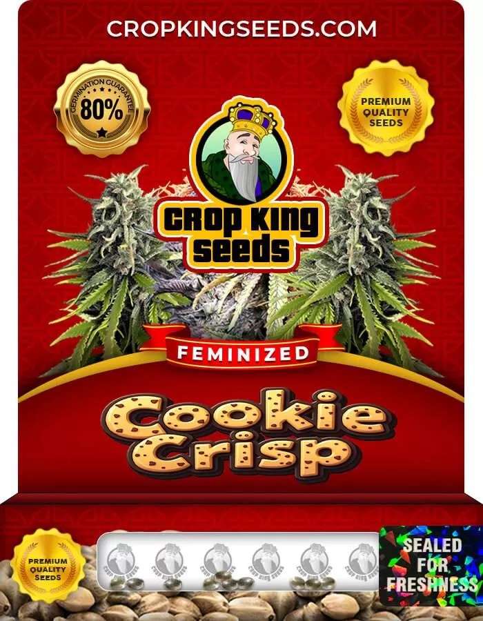 Cookie Crisp Strain Feminized Marijuana Seeds