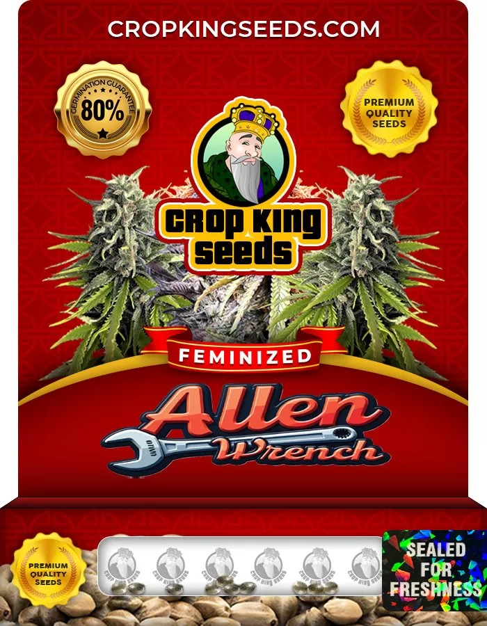 Allen Wrench Feminized Seeds