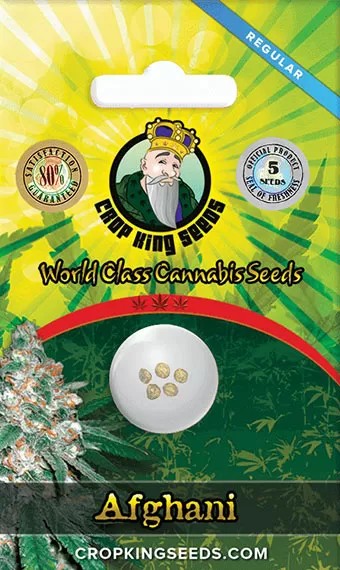 Afghani Strain Regular Marijuana Seeds