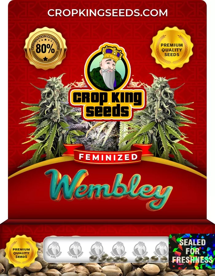 Wembley Strain Feminized Marijuana Seeds