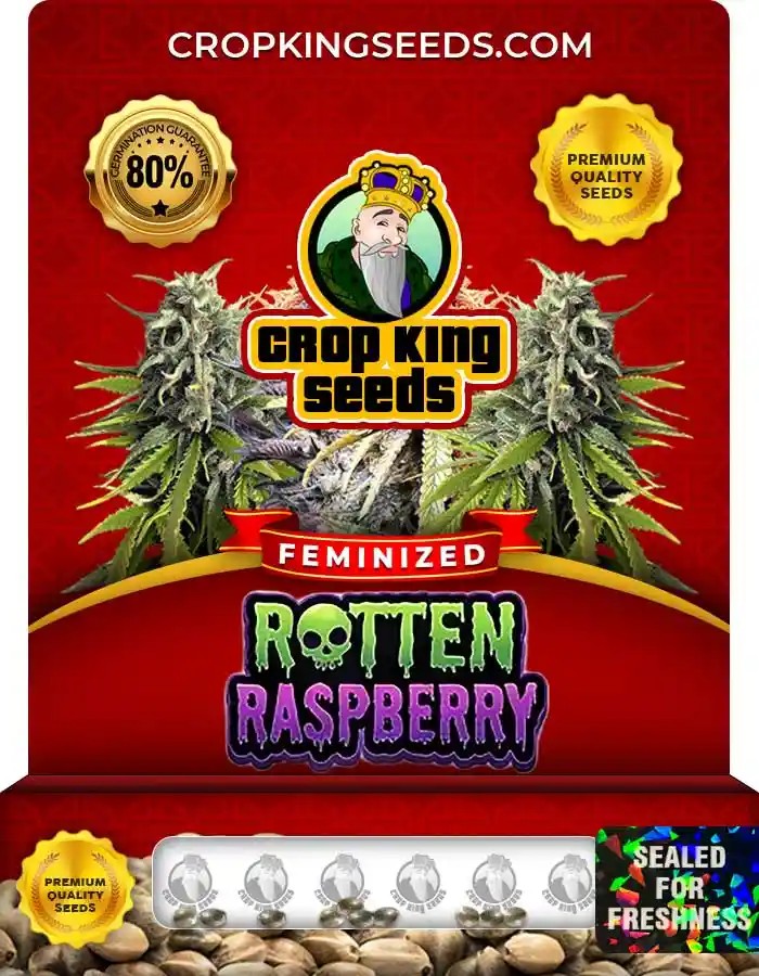 Rotten Raspberry Strain Feminized Seeds