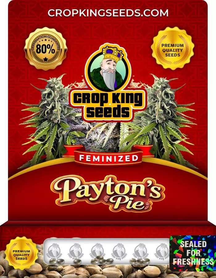 Payton’s Pie Strain Feminized Marijuana Seeds