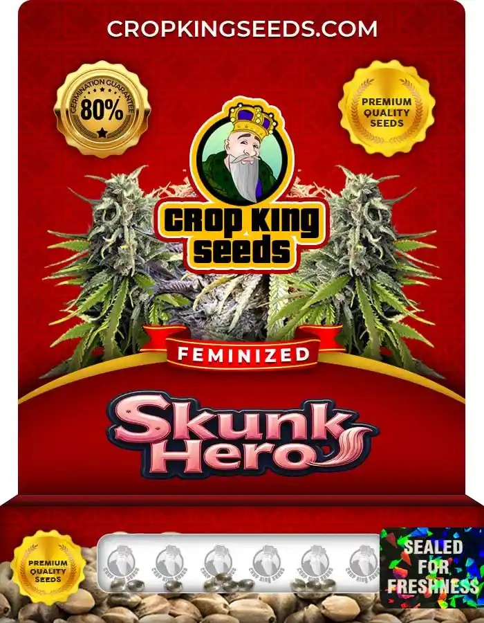 Skunk Hero Strain Feminized Marijuana Seeds