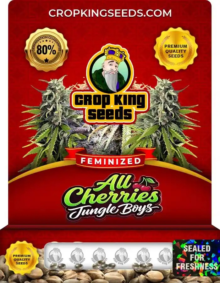 All Cherries Jungle Boys Strain Feminized Seeds
