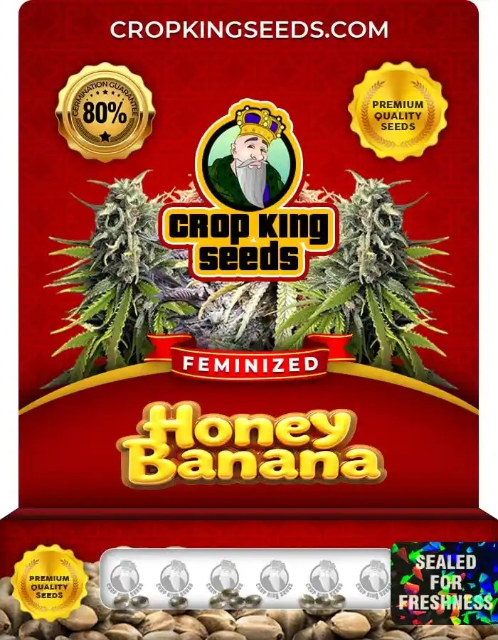 Honey Banana Strain Feminized Marijuana Seeds