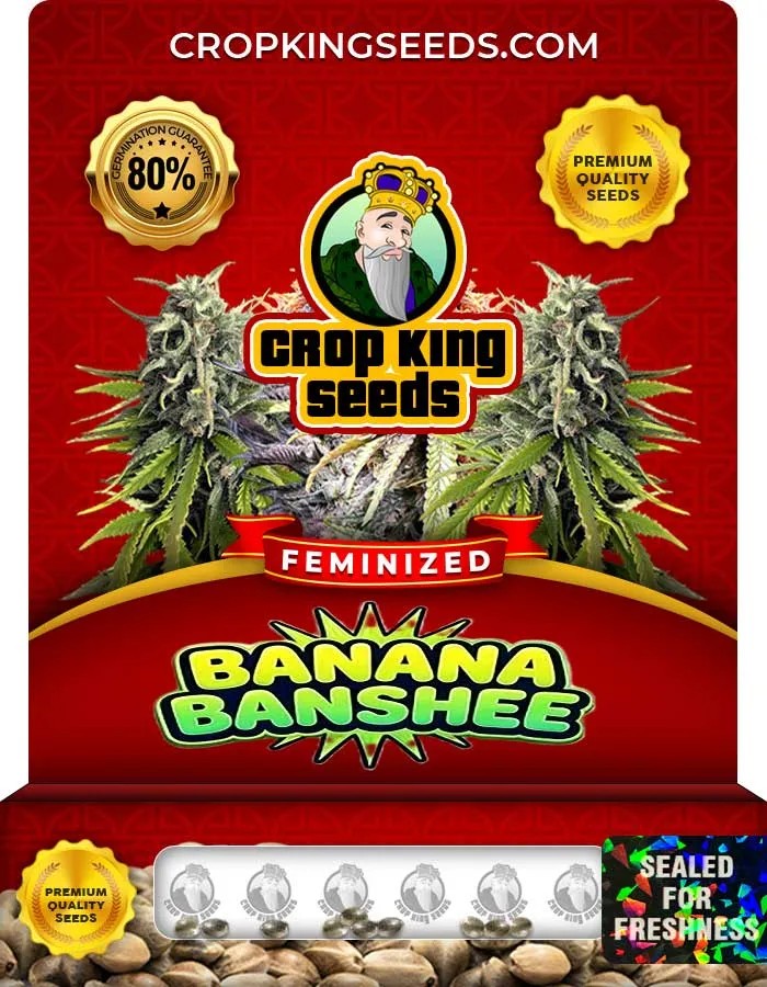 Banana Banshee Strain Feminized Seeds