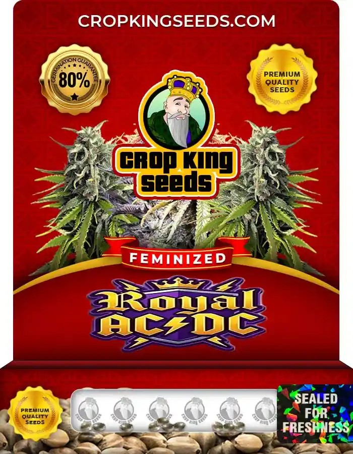 Royal ACDC Strain Feminized Seeds