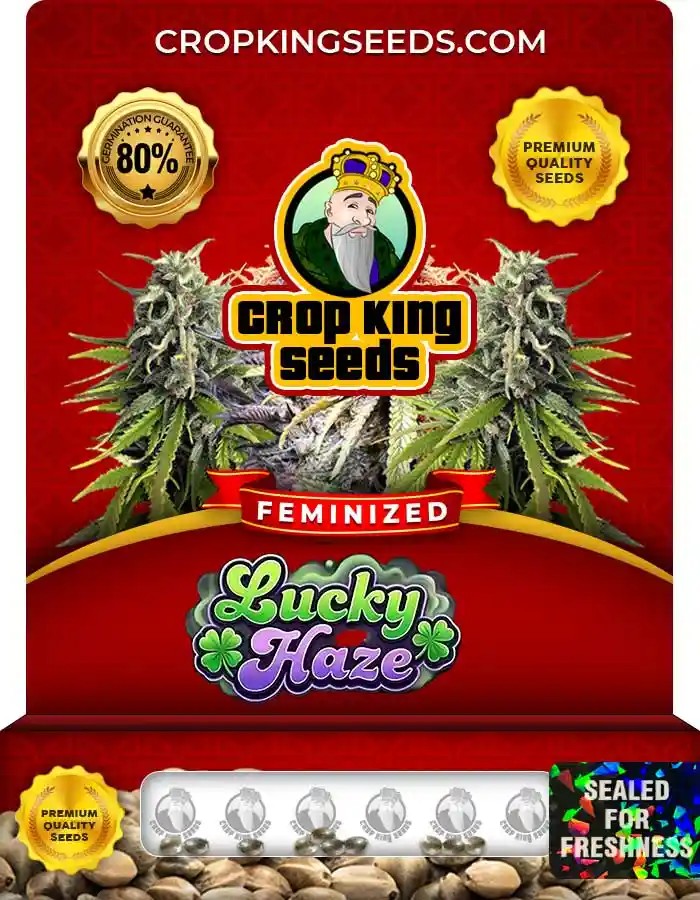 Lucky Haze Strain Feminized Seeds
