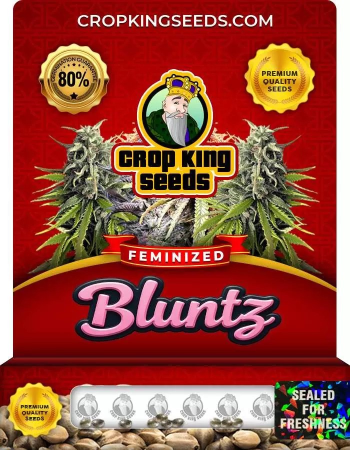 Bluntz Strain Feminized Seeds