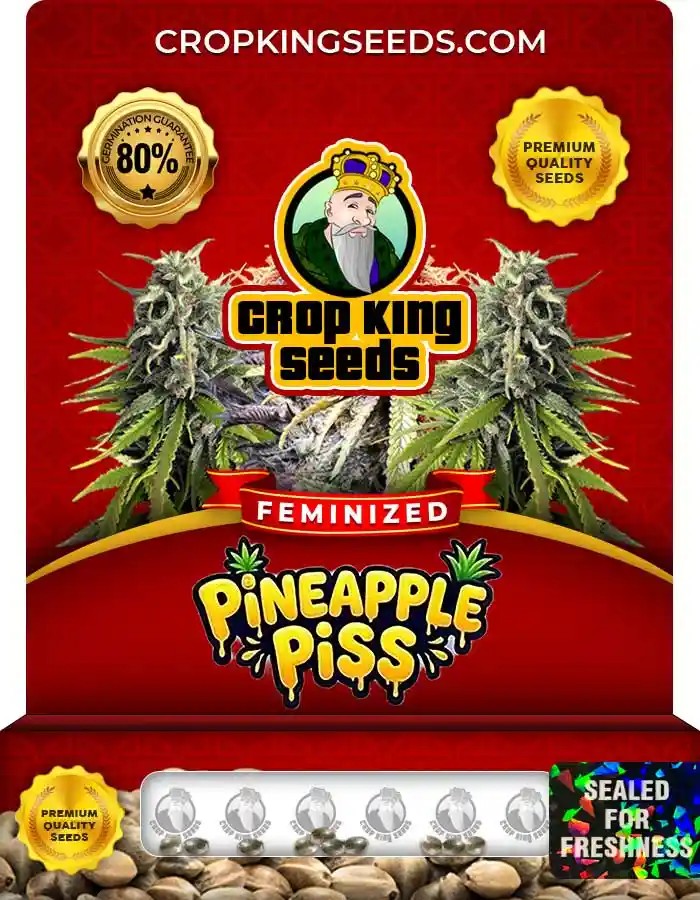 Pineapple Piss Feminized Seeds