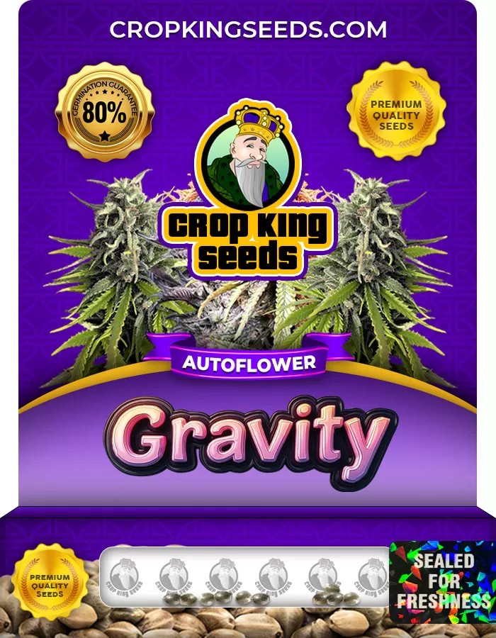 Gravity Autoflower Marijuana Seeds
