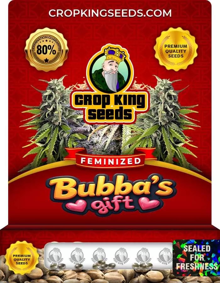 Bubba’s Gift Strain Feminized Marijuana Seeds