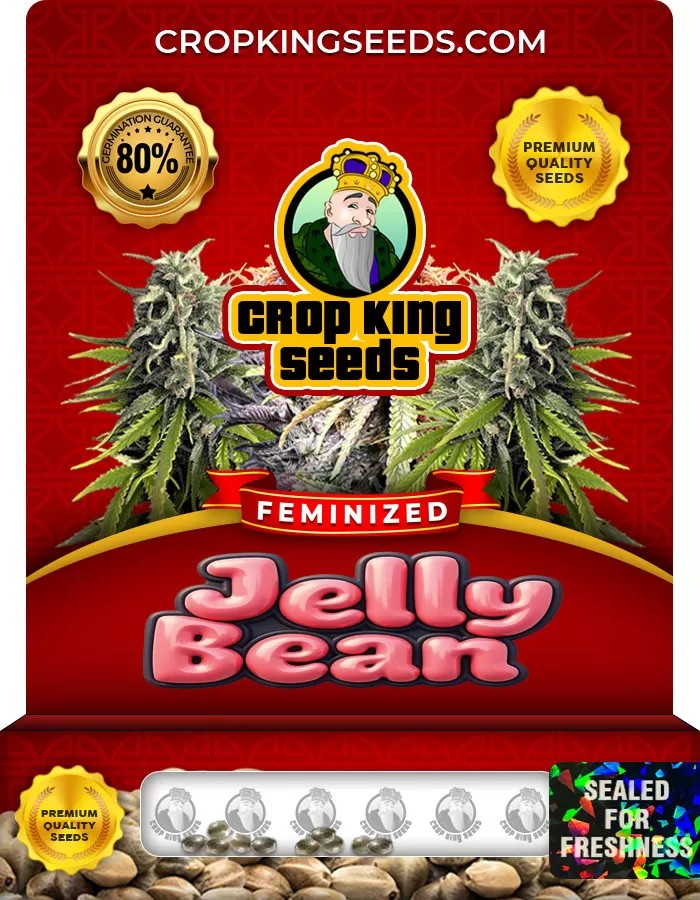 Jelly Bean Feminized Marijuana Seeds