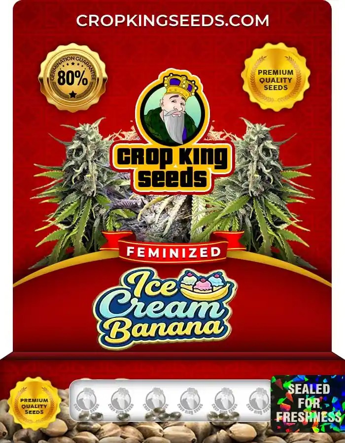 Ice Cream Banana Feminized Seeds