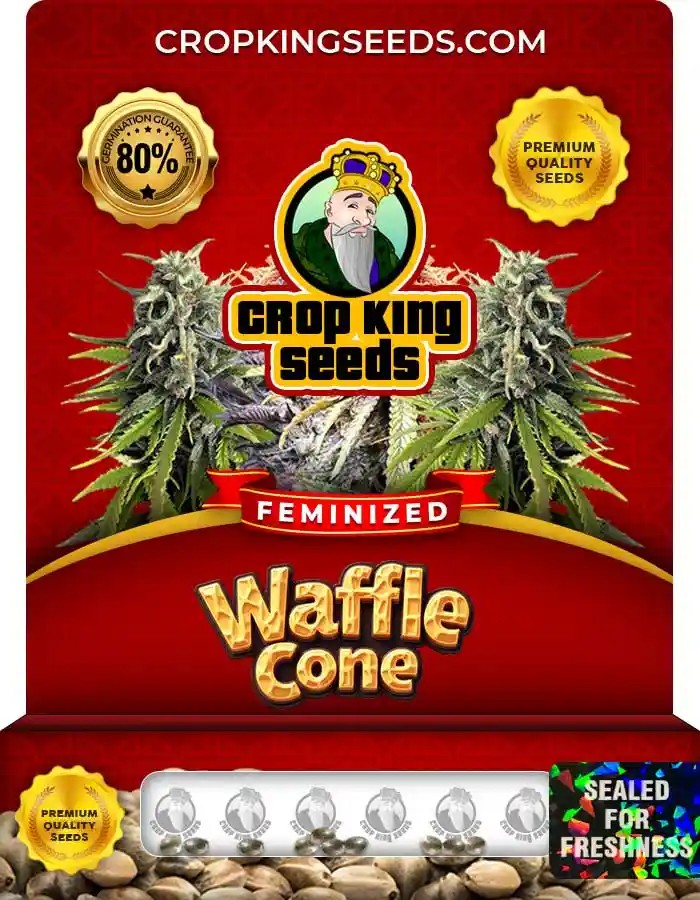 Waffle Cone Strain Feminized Marijuana Seeds